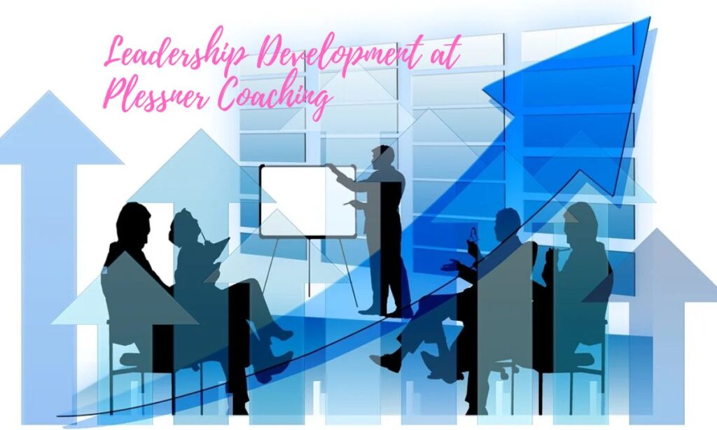 Leadership Development at Plessner Coaching