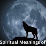 10 Spiritual Meanings of Dog