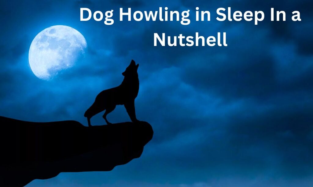 Dog Howling in Sleep In a Nutshell