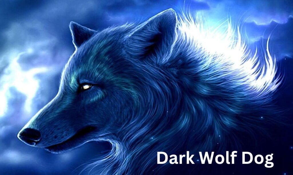 Dark Wolf Dog